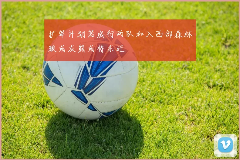 扩军计划若成行两队加入西部森林狼或灰熊或将东迁